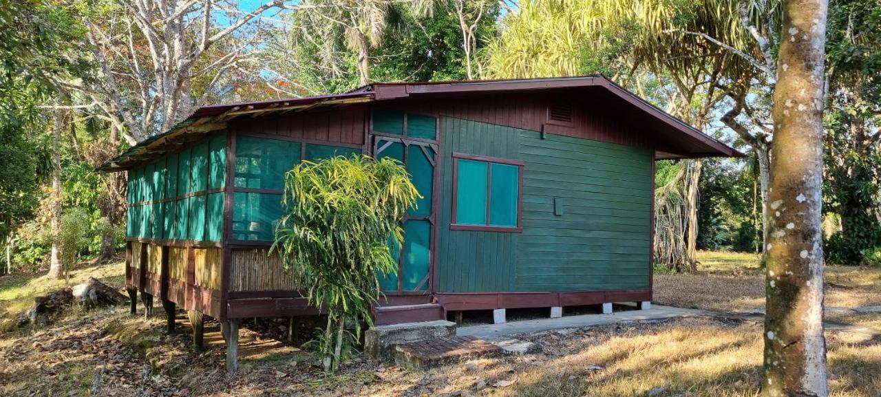 Hotel Veragua River House Sierpe Εξωτερικό φωτογραφία