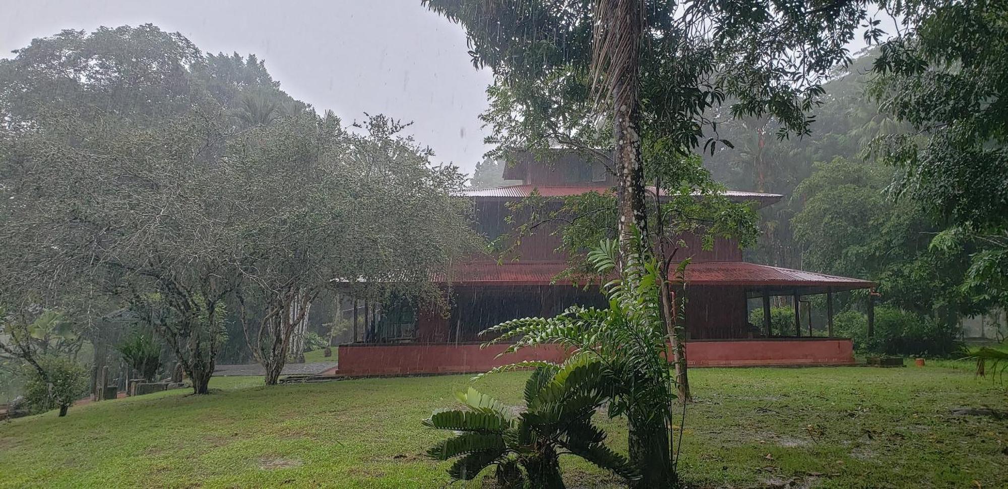 Hotel Veragua River House Sierpe Εξωτερικό φωτογραφία
