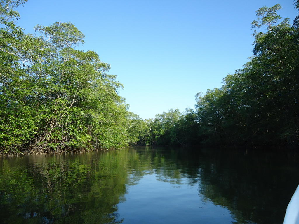 Hotel Veragua River House Sierpe Εξωτερικό φωτογραφία