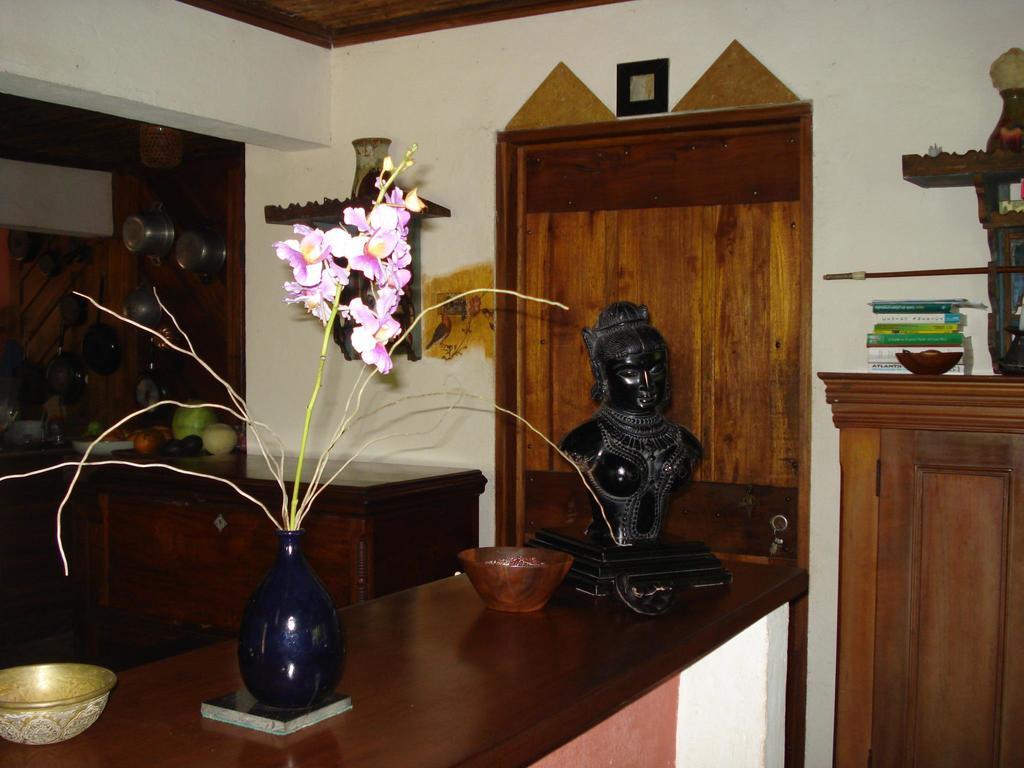 Hotel Veragua River House Sierpe Εξωτερικό φωτογραφία